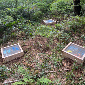 Kompostierkästen 1