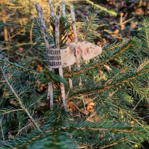 Prototyp Verbiss 1 Jahr